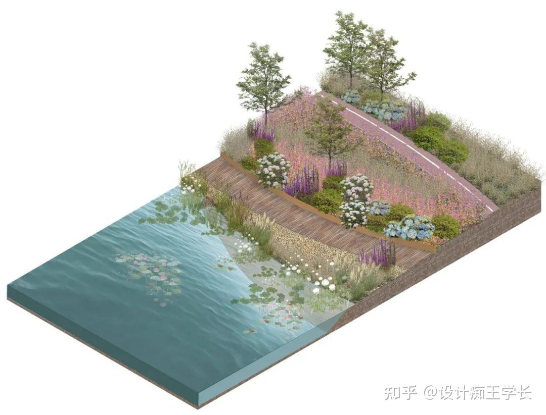 设计留学 | 植物分析与植物表现,都有哪些常见的形式? - 知乎