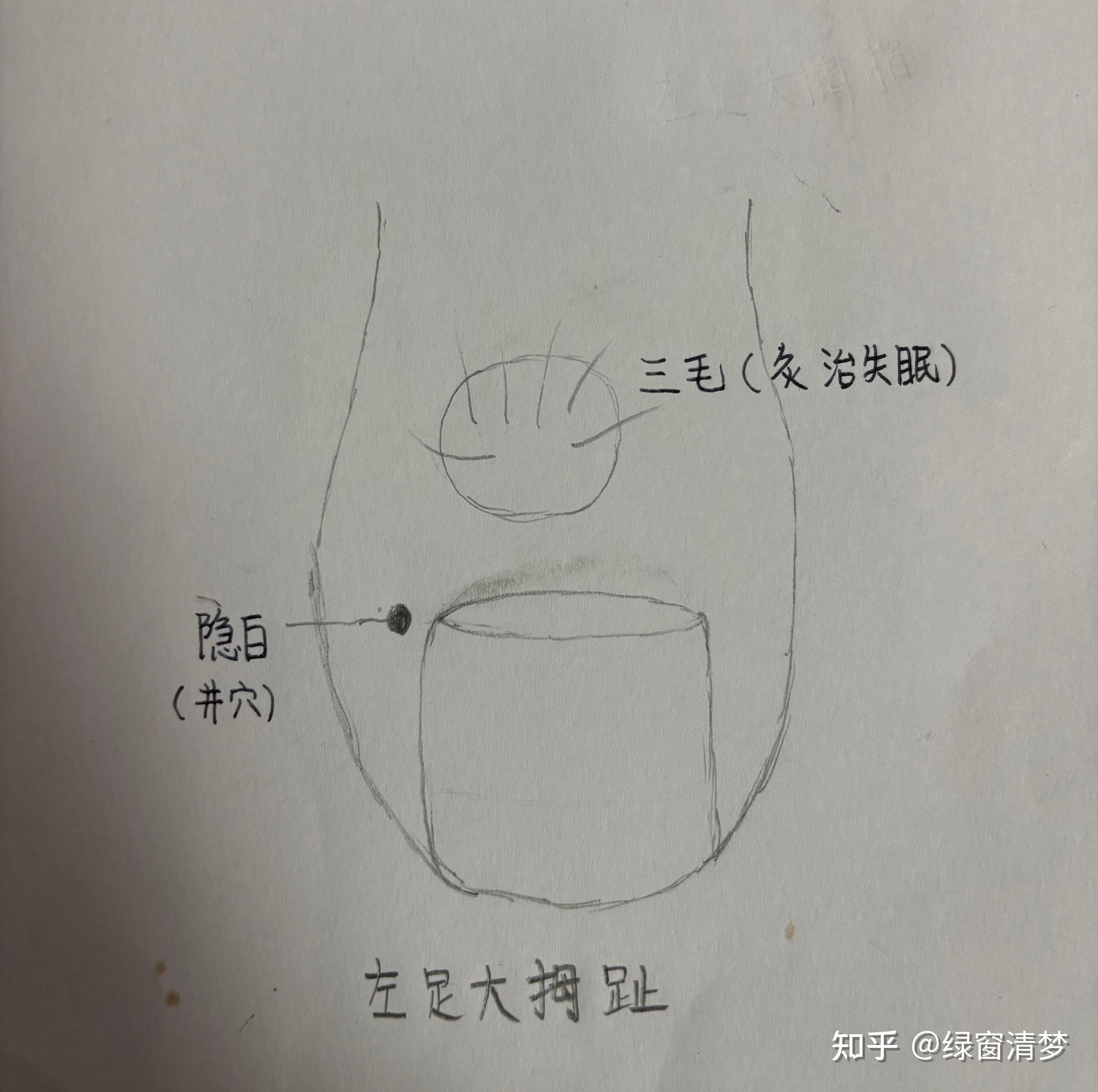 倪海厦针灸课笔记（14）- 足太阴脾经上 - 知乎