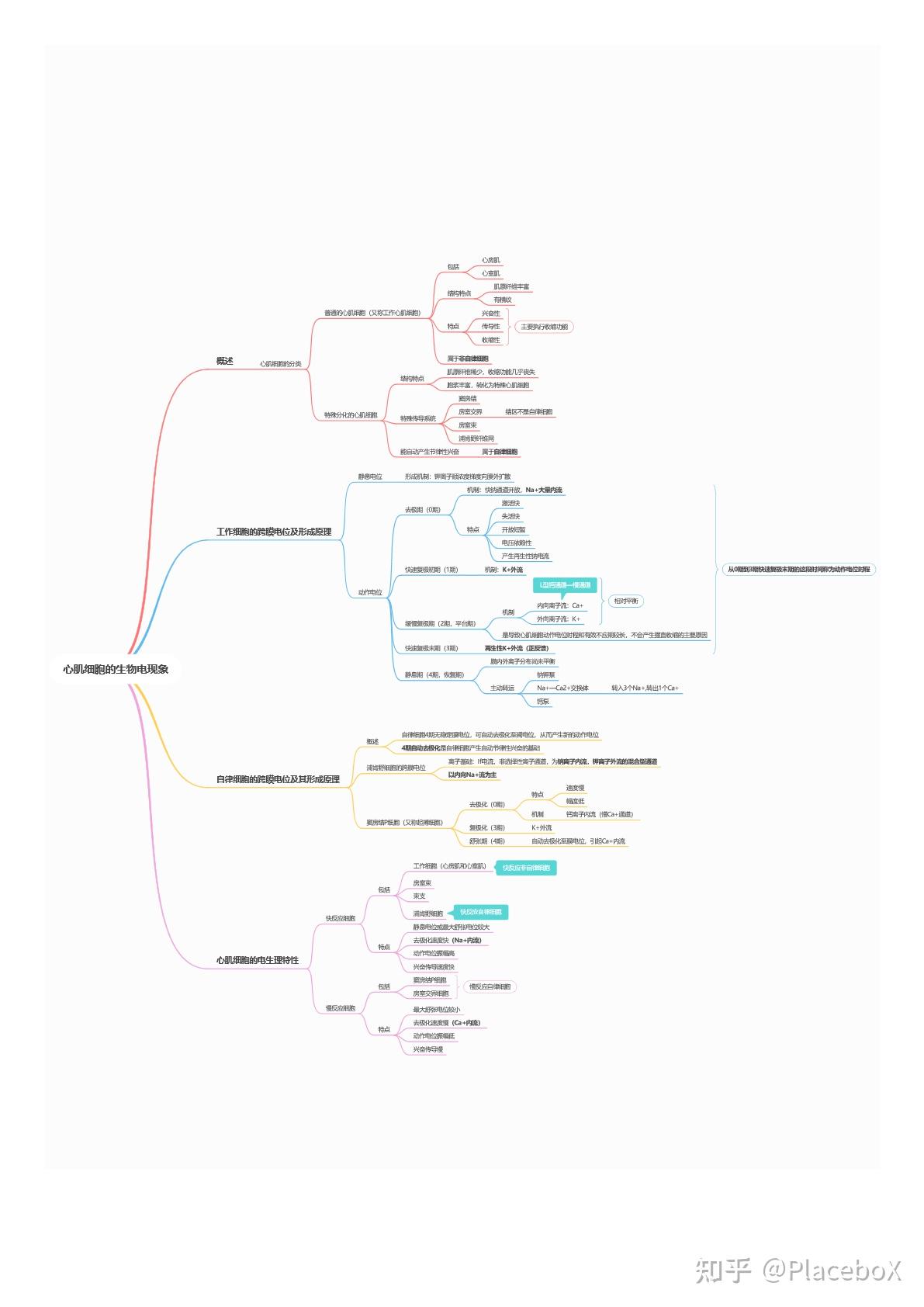 生理學易錯點整理血液循環第一節心肌細胞的生物電現象附思維導圖