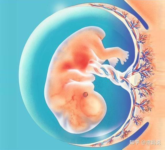 怀孕16周没感觉到胎动不一定是胎儿发育不好还可能是6个原因