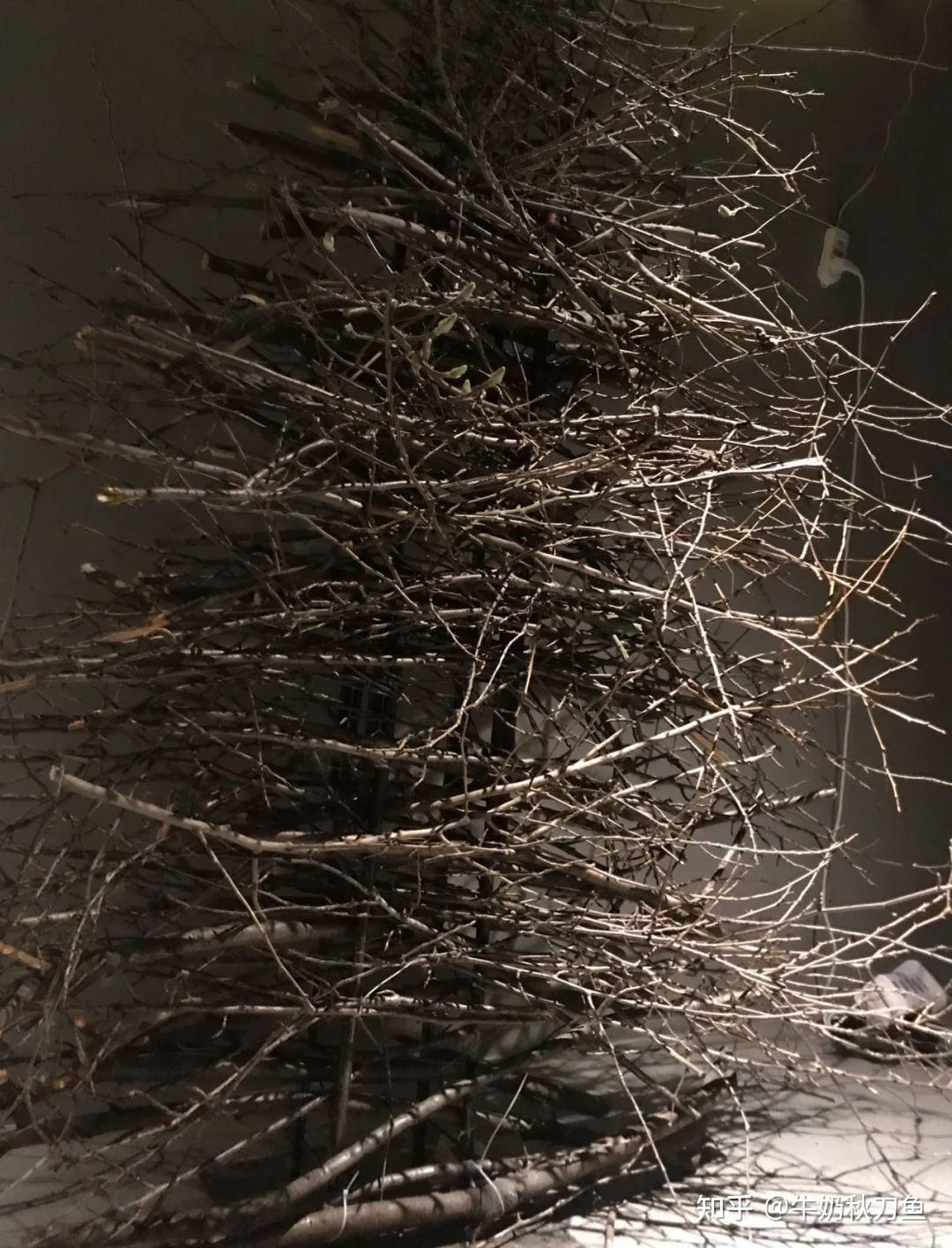 只用树枝搭出好看的圣诞树|圣诞礼物/手工惊喜 - 知乎