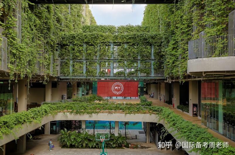 深国交vs深大师院国际高中2024深圳最顶尖两所英式高中怎么选