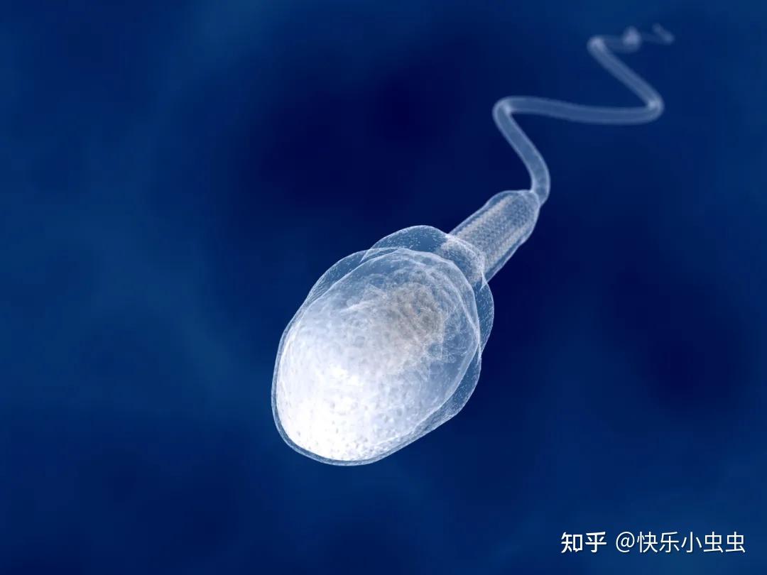 人類精子尾部有令人驚奇的新發現！ - 國家地理雜誌中文網