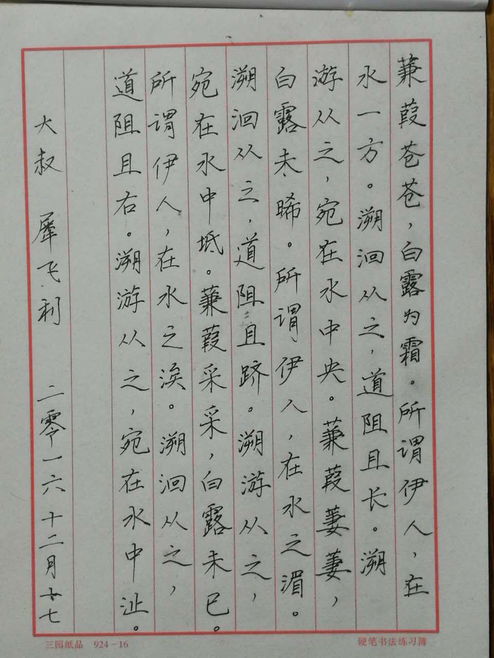 诗经蒹葭钢笔字笔友习作欣赏