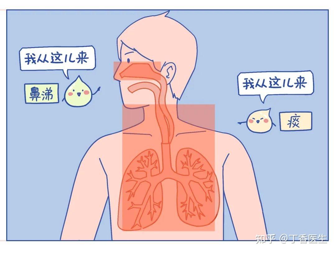 把痰咽回去,会不会对身体不好啊? - 知乎