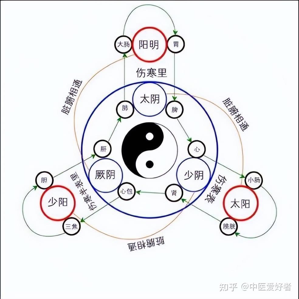 中医基础理论-阴阳 - 知乎