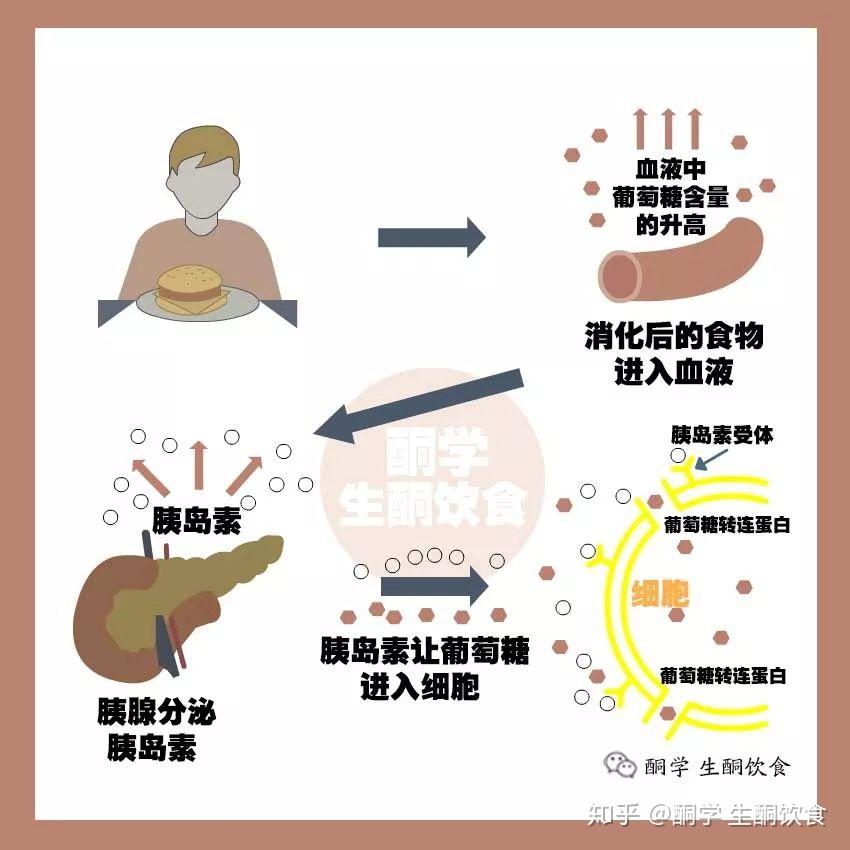 减肥瘦身必备指南什么是生酮饮食