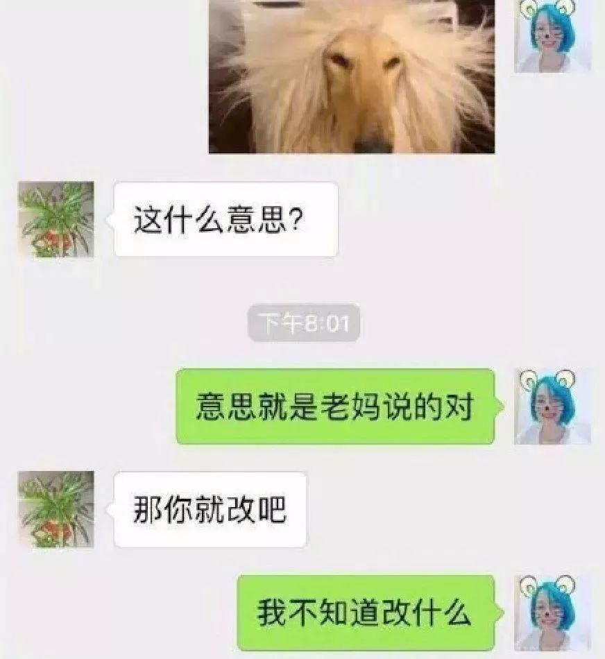 你妈逼你换头像了吗？？ 知乎 9122