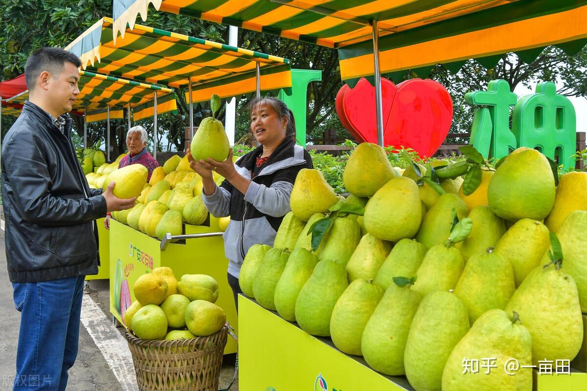 一亩田推出新功能农民太省心了发个视频就卖货