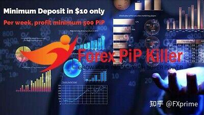 FOREX PIP KILLER EA