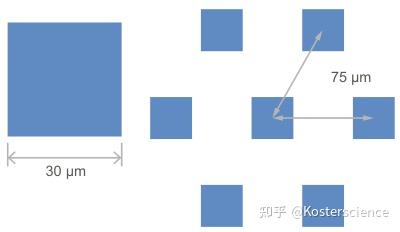 ibidi μ-Pattern 微区块表面 8 孔高壁腔室载玻片玩转指南（ibiTreat，sqr30，pit75，hex） - 知乎