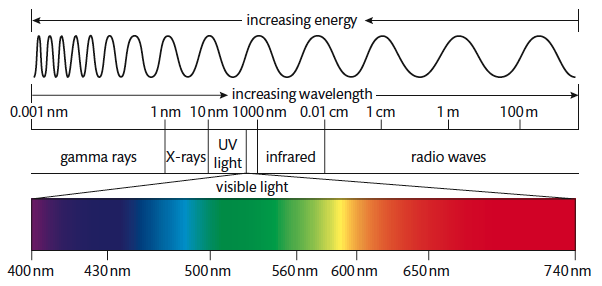8 photosynthesis - 知乎