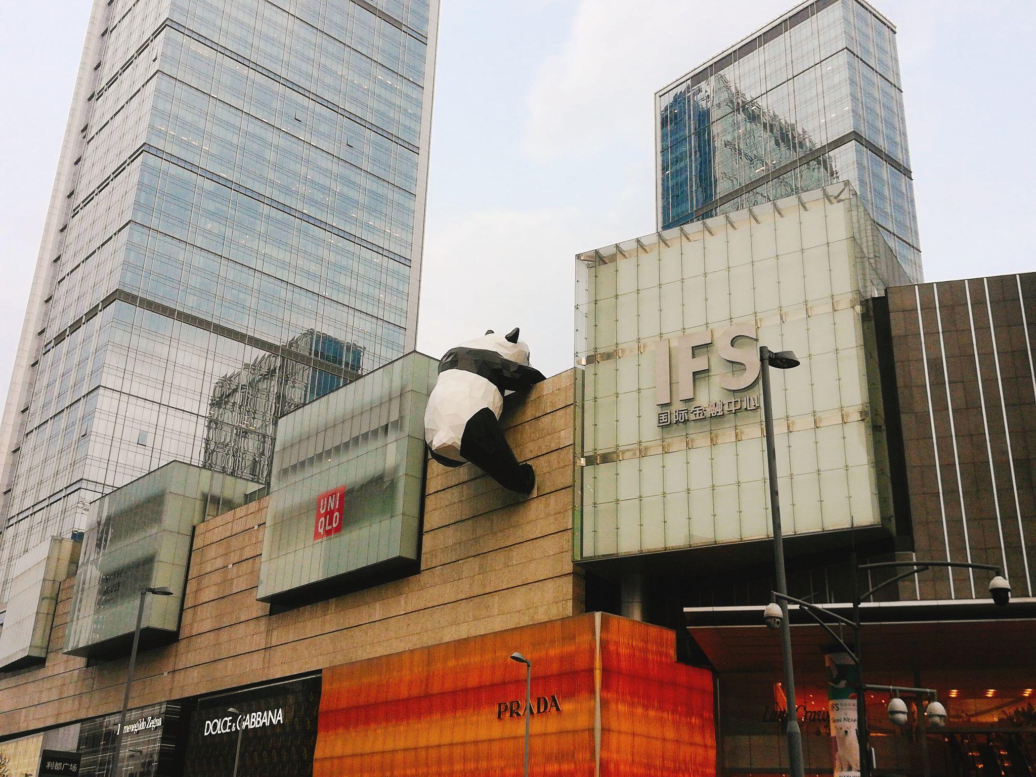 成都旅游人均_成都旅游图片(2)