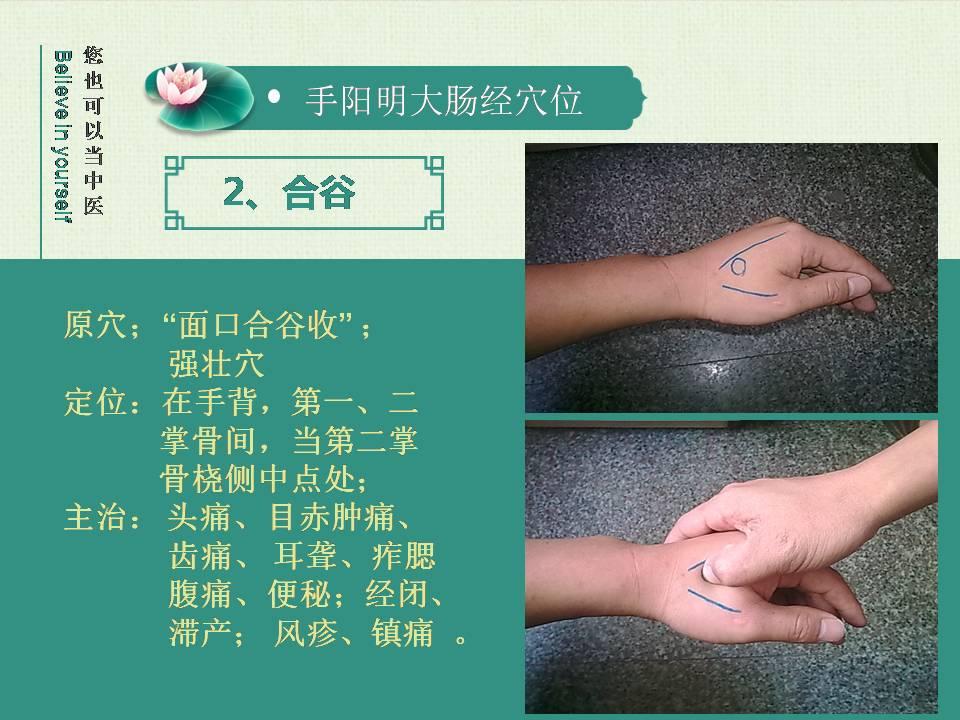 手陽明大腸經十二經絡講稿11