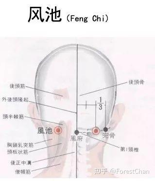 白骨观实修讲解(二) - 知乎