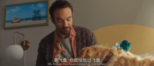 《爱犬莫福》“夜魔侠”变身暖男，携宠攻略前任