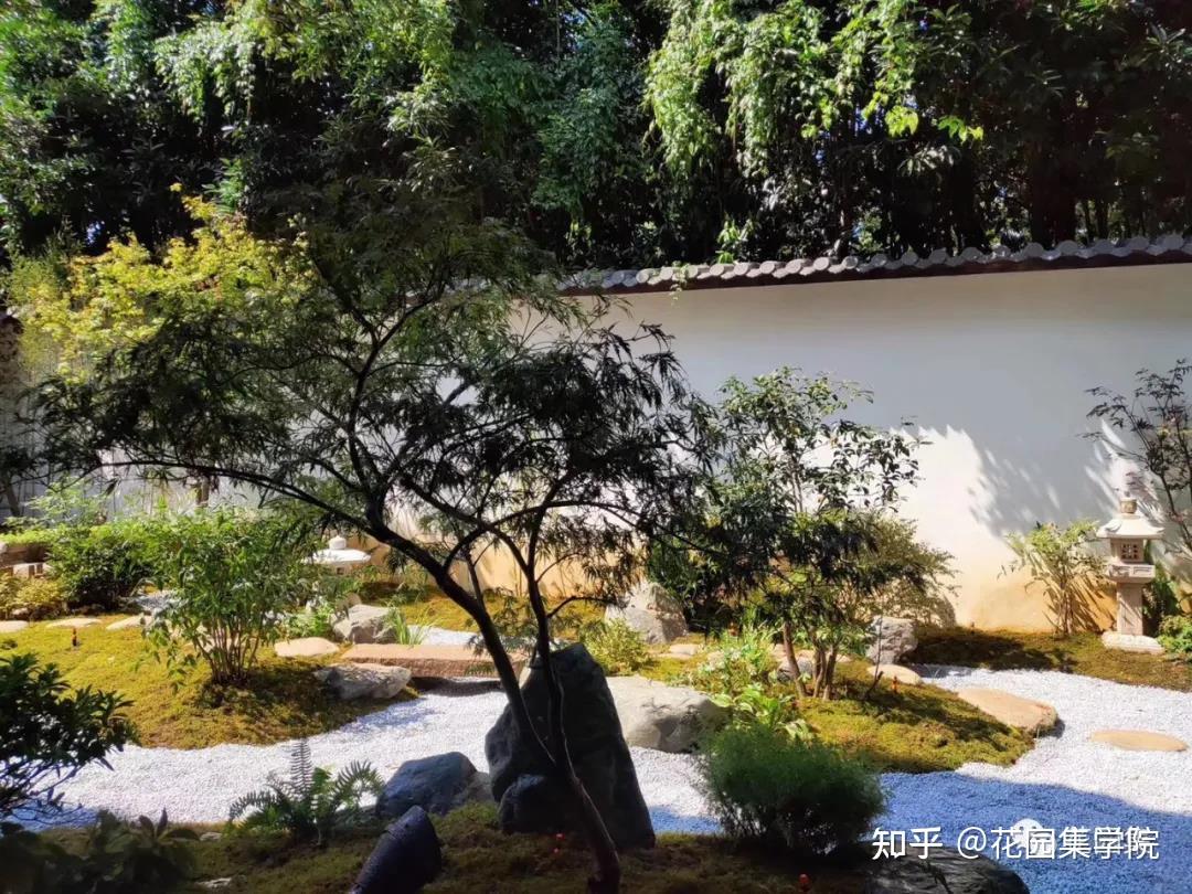 干货 打造日式庭院,只此一篇,足够 - 知乎