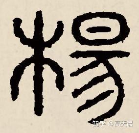 “杨” 姓的由来和汉字书法演变「书品百家姓」 - 知乎