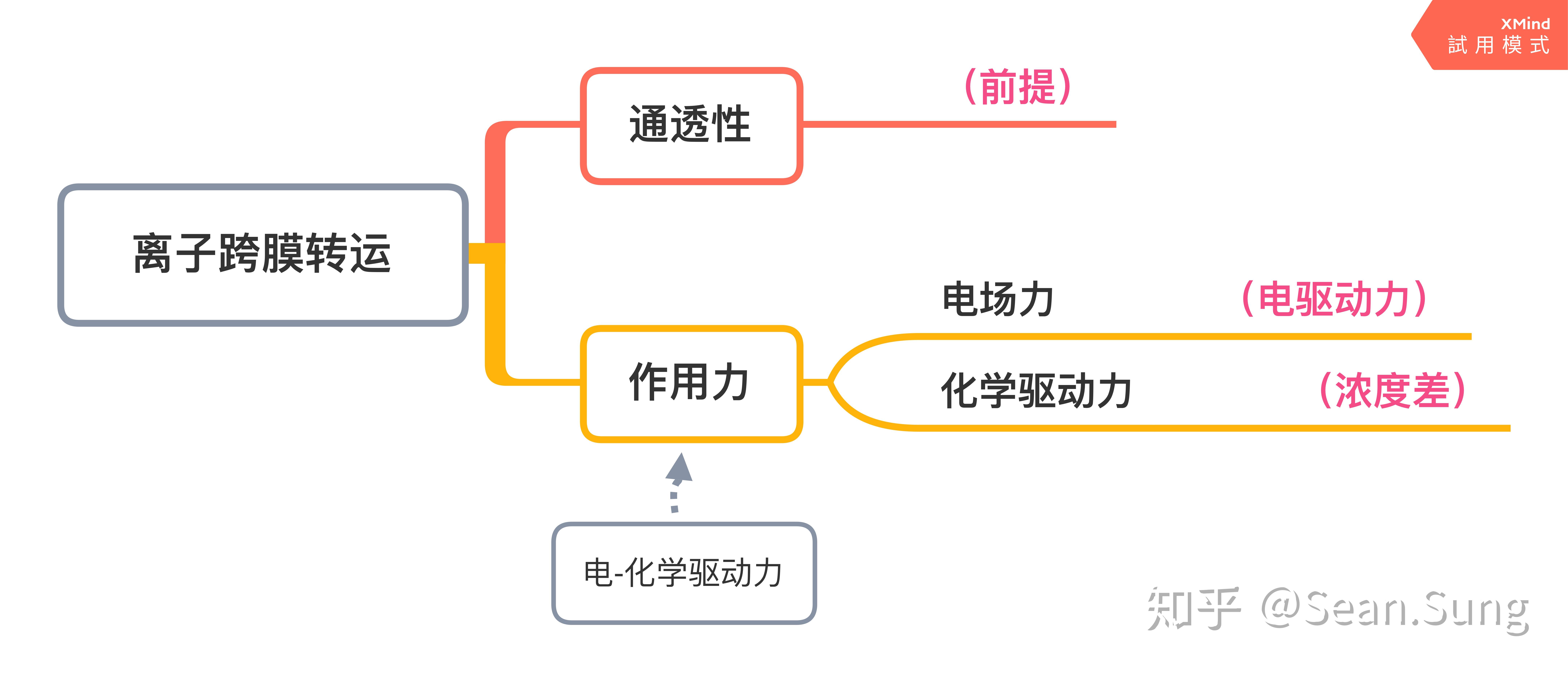 细胞静息电位模式图图片