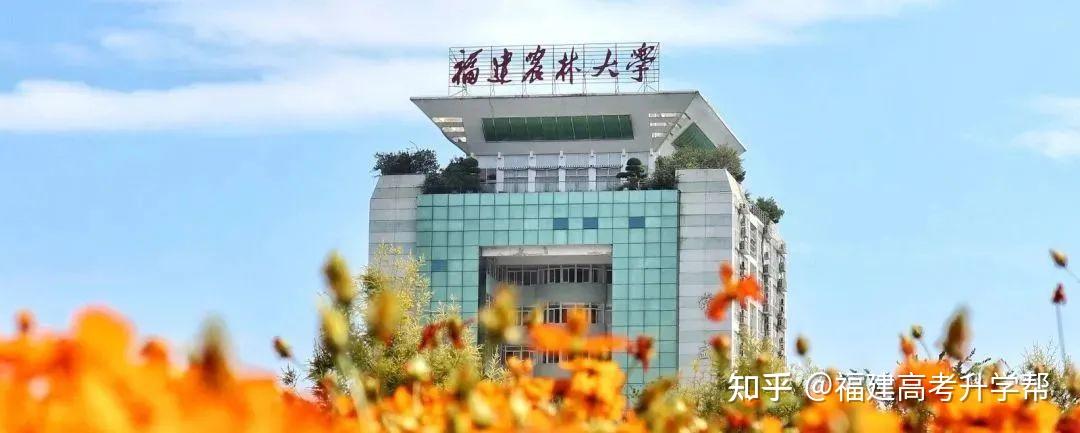 福建农林大学在哪里图片