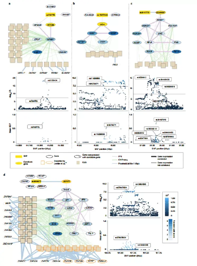 Nature Genetics | DNA变异和甲基化之间的关系 - 知乎