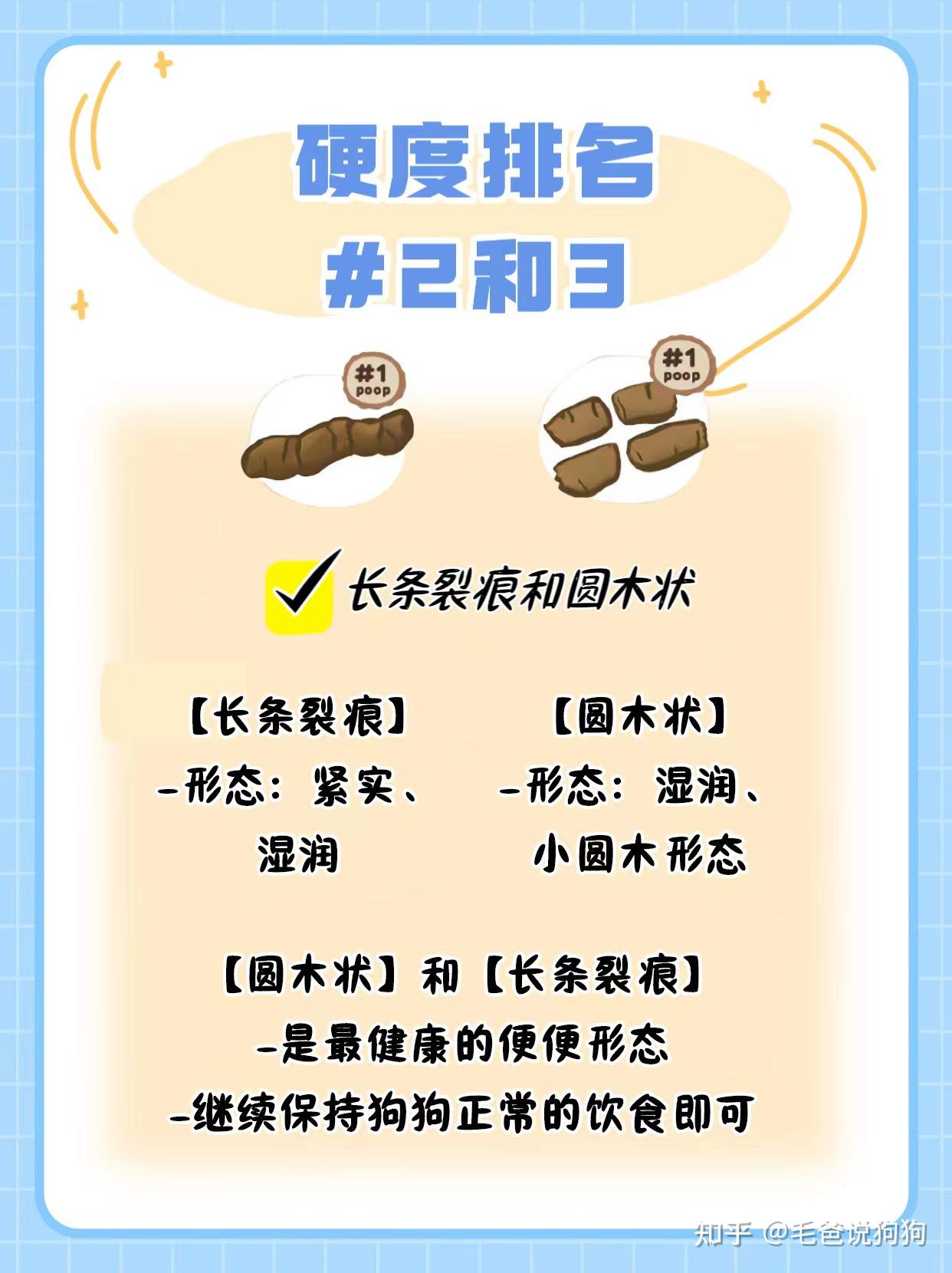 如何通过狗狗便便的情况,自查健康问题? - 知乎