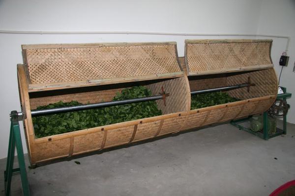 中国名茶|传统十大名茶之安溪铁观音
