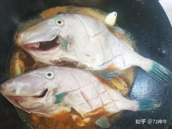 为什么80年代初市场上经常买的“剥皮鱼”,现在看不到了? - 知乎
