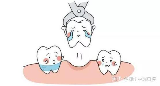 若鬆動嚴重或脫位,移位時,就應把牙齒復位,然後結紮固定於相鄰的牙齒