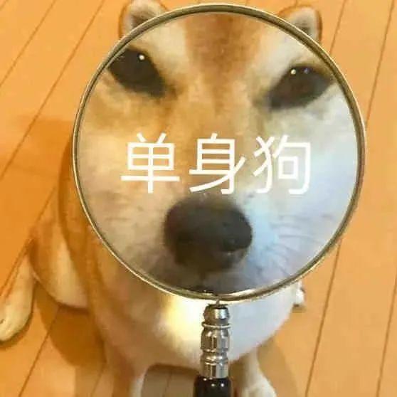 120张万能的表情包推荐-万能表情图片大全