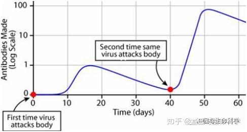 什么是预防原理_预防传染病手抄报(2)