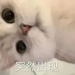 2026年5月DIY电脑装机配置推荐!