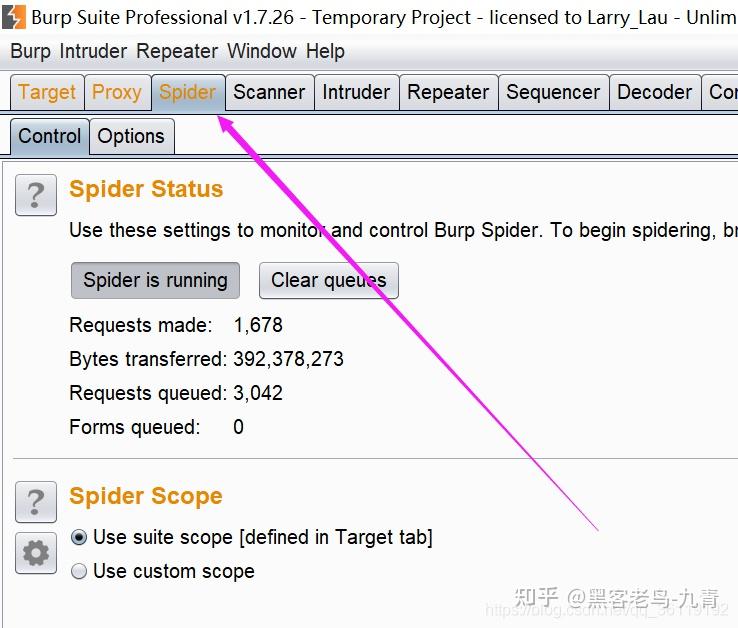  burpsuite 