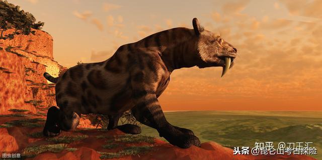 过程中,食肉性动物中进化最为完美的三种顶级动物,为泰坦鸟,剑齿虎,狼