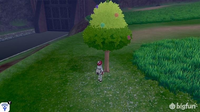 精灵宝可梦剑盾树果详细介绍