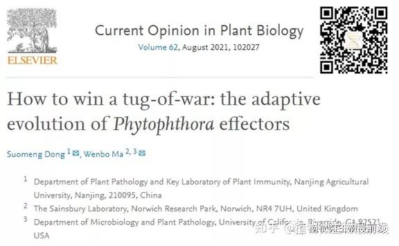 curropinplantbiol南农董莎萌tsl马文勃联合撰写综述总结疫霉效应因子