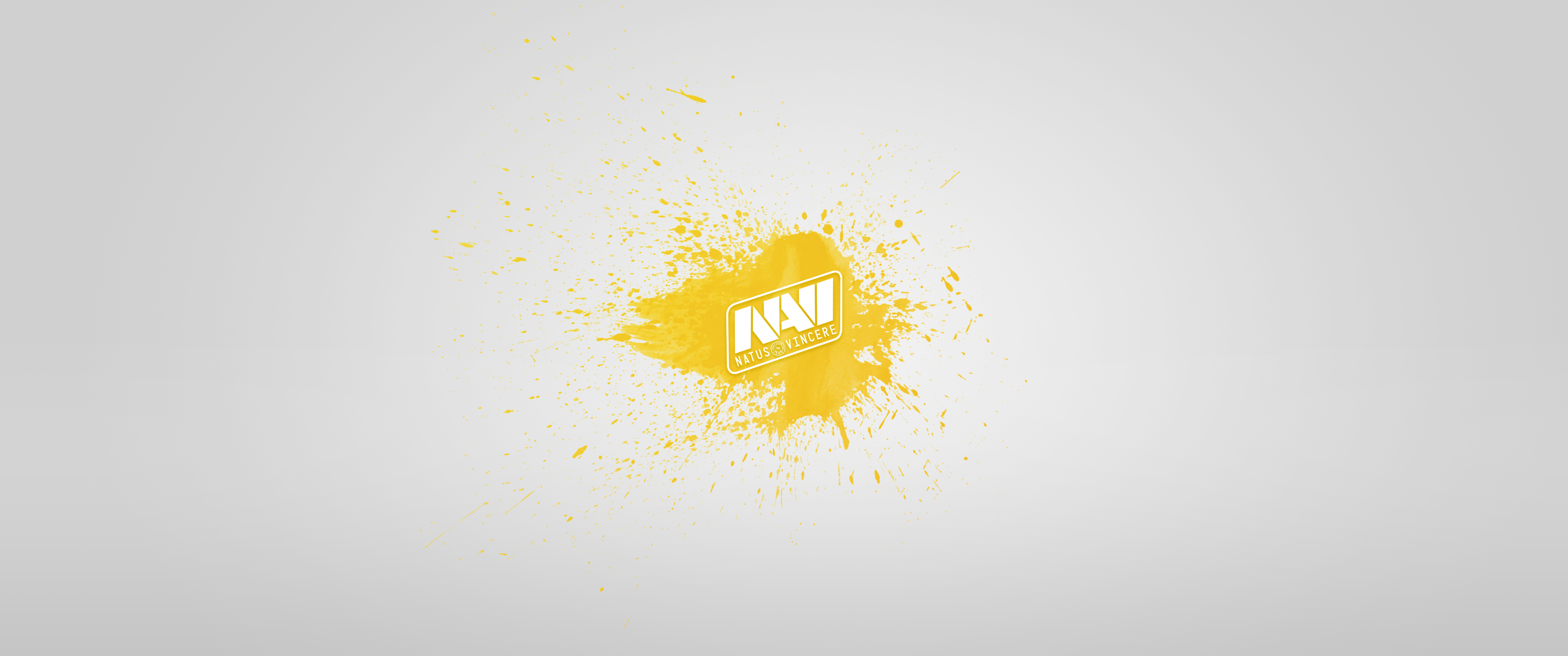 今天分享一张natusvincere战队的浅色系简约壁纸