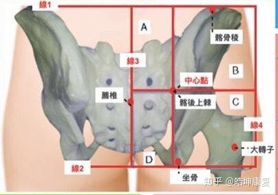 臀部区域出现的疼痛症状以及成因 知乎 臀部区域出现的疼痛症状以及成因 知乎