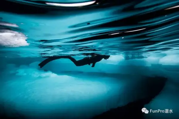 Gopro水下摄影全攻略 教你如何在海底构图 加滤镜 知乎