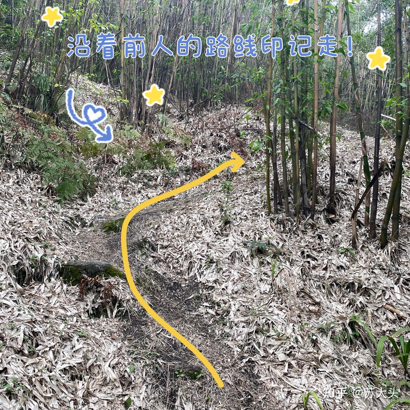 重庆徒步爬山圣地：缙云山免门票上山详细路线指引 - 知乎