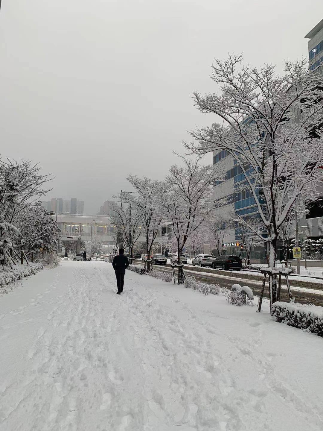 韩国21年第一场大雪 韩国21年1月初下大雪多次 知乎 韩国21年第一场大雪 韩国21年1月初下大雪多次 知乎
