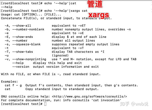 Xargs 