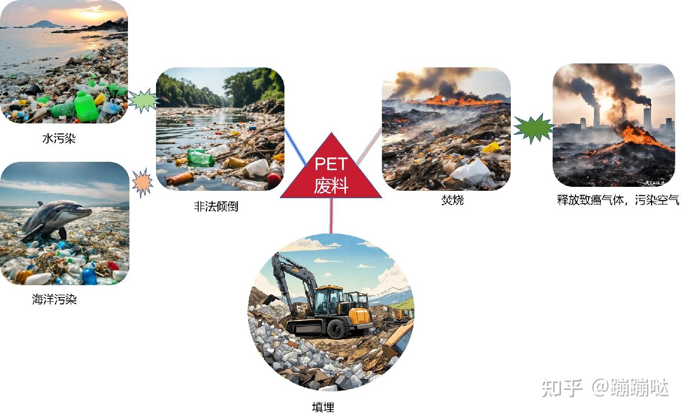对苯二甲酸乙二醇酯(PET)的降解及回收技术进展 - 知乎