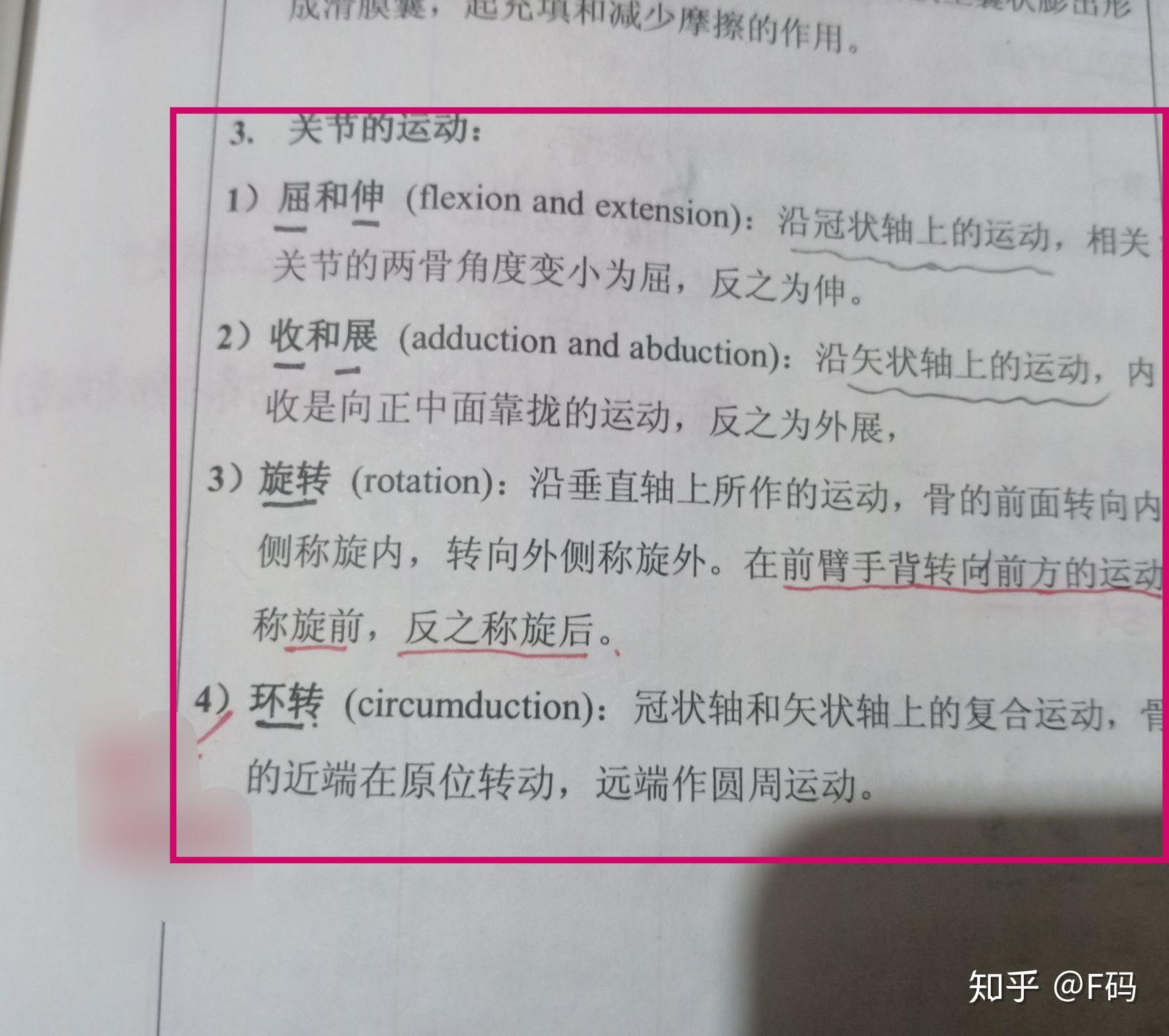 解剖关节的运动屈伸收展