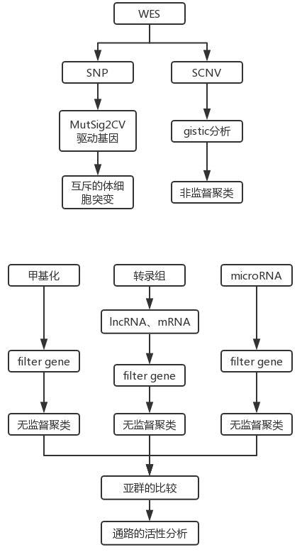文献解读丨纯生信分析没搞 …