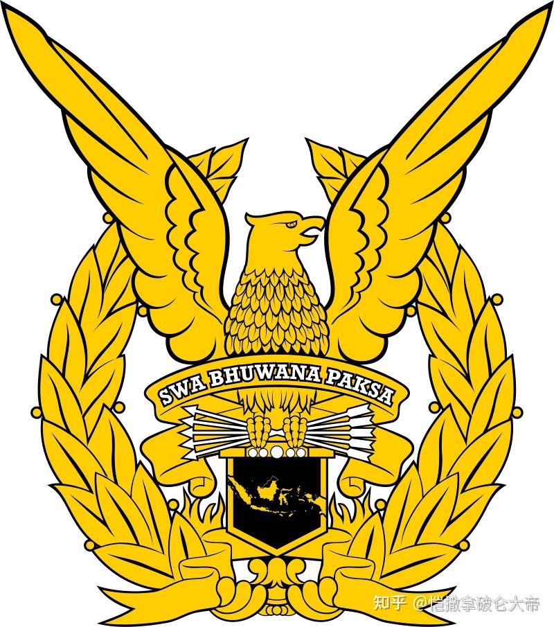 第四十一期印度尼西亚军队徽章大全