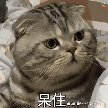 intj女生 v2-2eecc351b2d2b3d33ef62cba217182d1_r.jpg