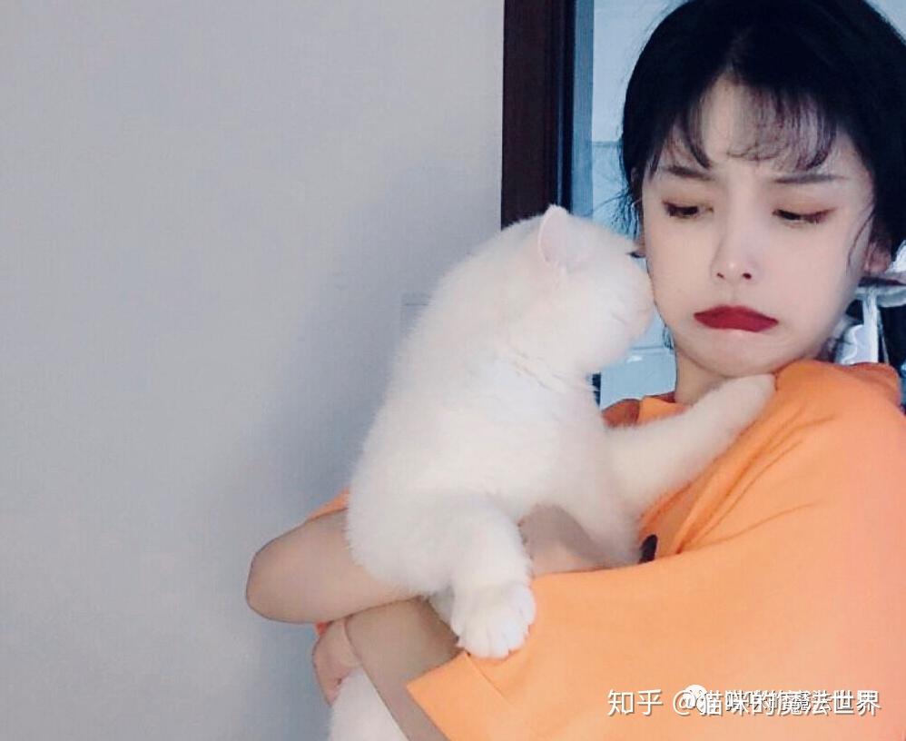 七问你真准备养猫? 第七问:客观因素阻碍你? - 知乎
