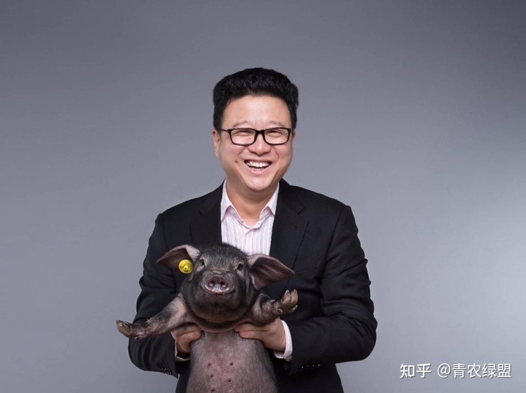 网红猪场网易味央黑猪要养不下去了吗？高端黑猪养殖难在哪？ - 知乎