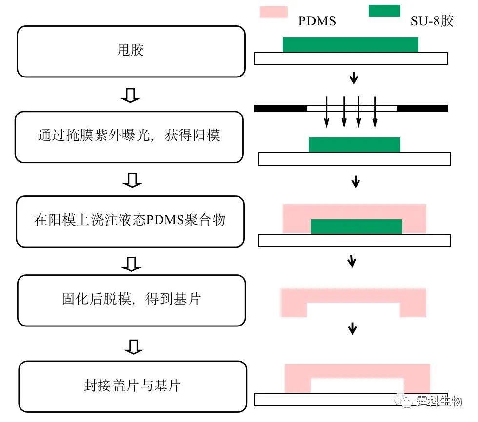 圖2-21 模塑法制作過程示意圖圖2-22 